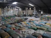 Việt Nam giảm mạnh xuất khẩu gạo sang Trung Quốc